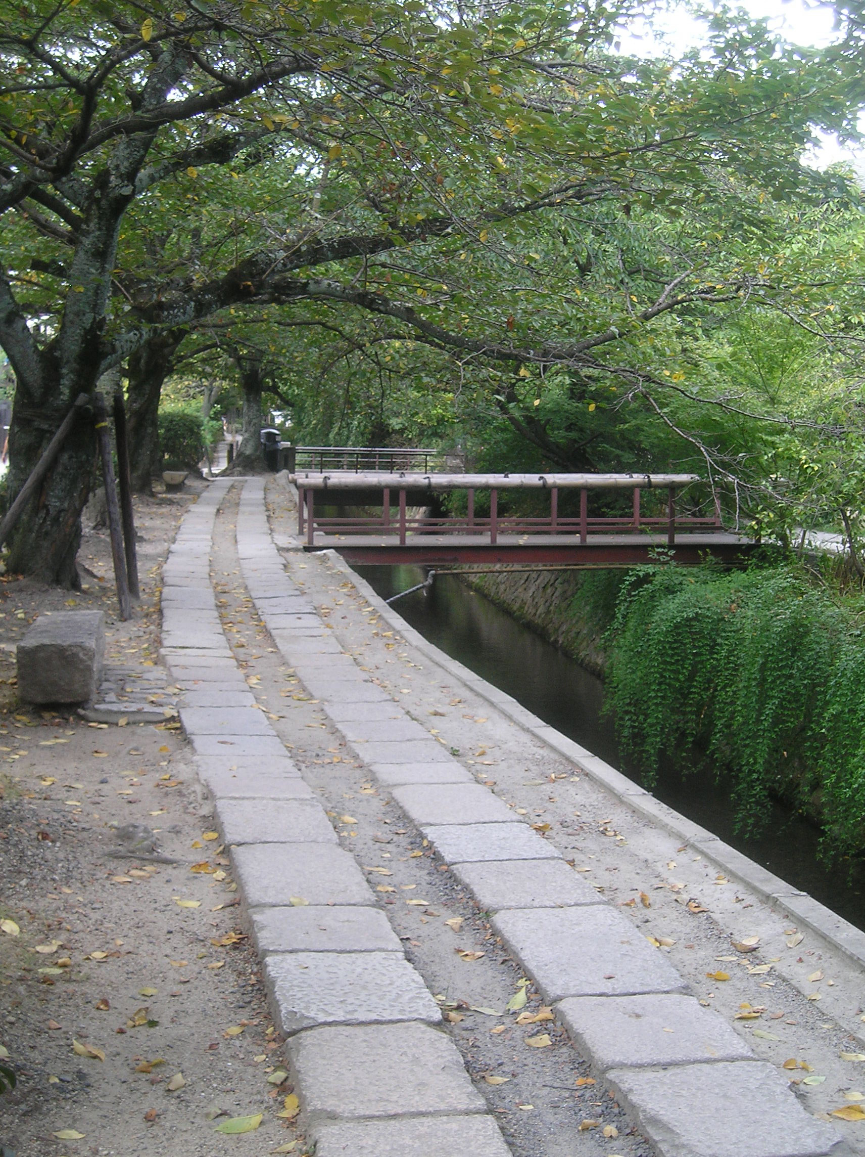 The Philosophers' Path in Kyoto