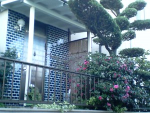 A front garden seen on the Shin-Yuri morning walk