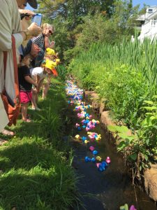 rockport-duck-race