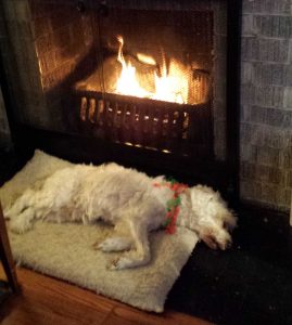 tucker-fireplace-crop